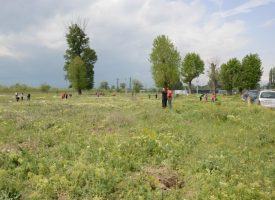 Адвокатите засадиха 10 дъбчета в местността „Писковец“
