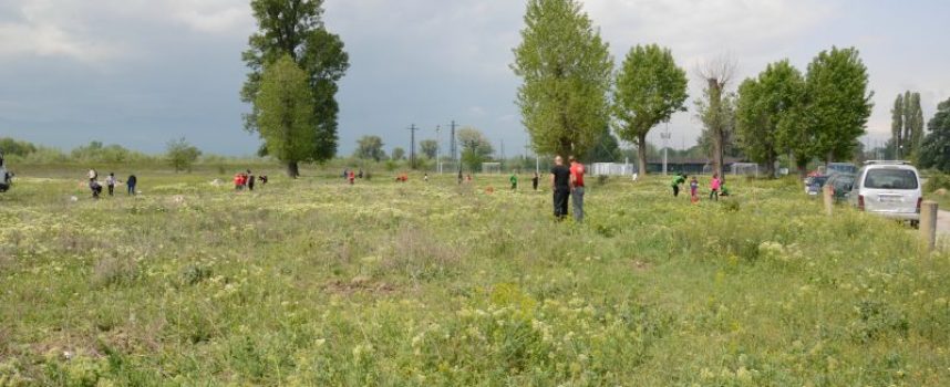 Адвокатите засадиха 10 дъбчета в местността „Писковец“