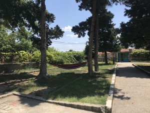 23зад кулисите4