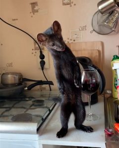 07самур