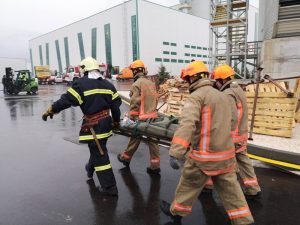 12пожар биовет6