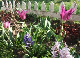 УТРЕ: Настъпва пролетното равноденствие