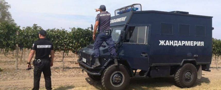 Съвместни екипи на полиция и жандармерия ще пазят лозовите масиви в община Септември