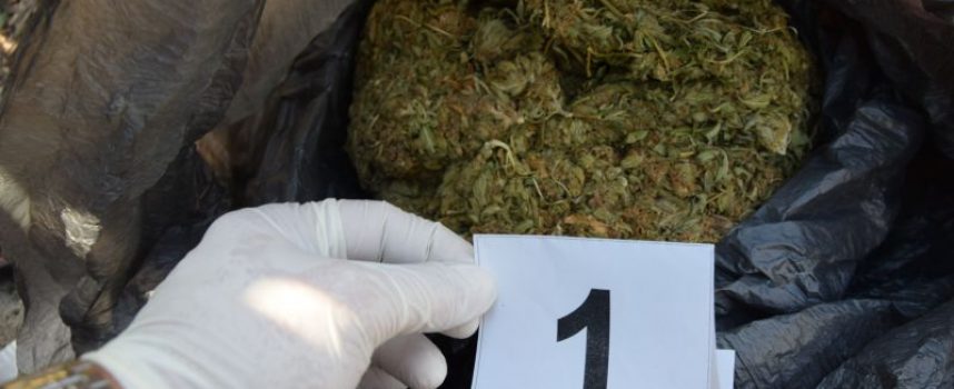 Иззеха 9.26 кг марихуана в Памидово