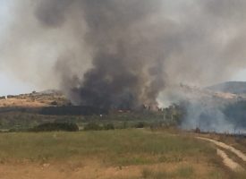 20 декара лозя са изгорели вчера край Карабунар, пожарите са били два
