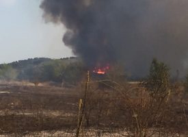 2 декара гора и 650 декара сухи треви изгоряха в пожара край Карабунар