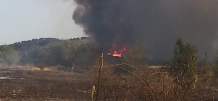 2 декара гора и 650 декара сухи треви изгоряха в пожара край Карабунар