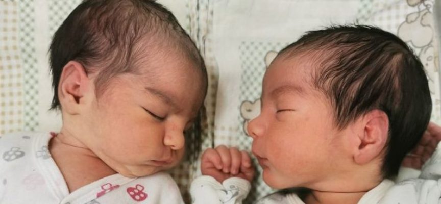 По едно бебе на ден е заченато в ин витро клиниката на „Селена“ през 2020 година