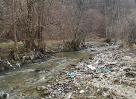 На 8 май: „Биовет“ АД и Община Пещера подкрепят мащабно почистване на Стара река, ето чия е идеята