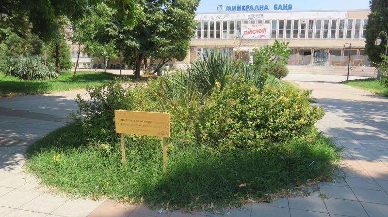 25надписи1