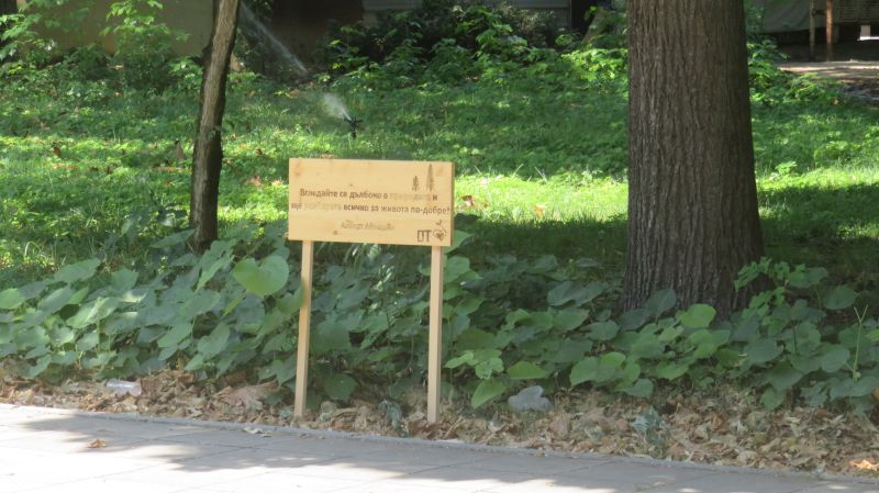 25надписи3