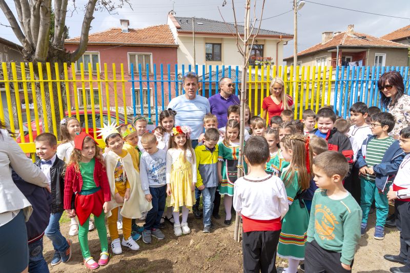 01дръвче1