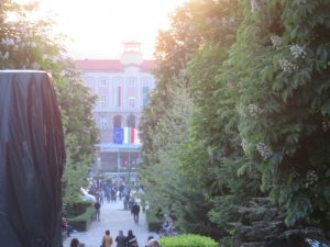 IMG 1557