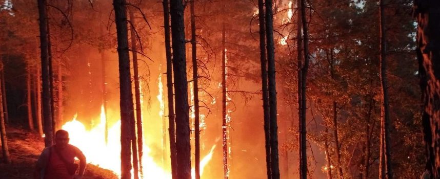 Прокуратурата търси кой е запалил пожара край Левски