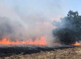 Пожарите край Елшица и Црънча са овладени