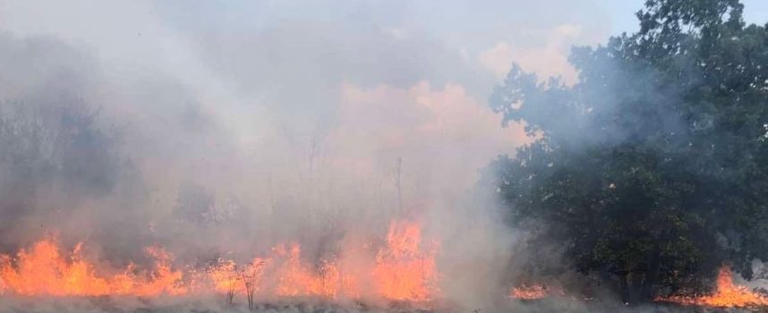 Хеликоптер се включи в гасенето на пожара край Елшица