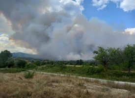 Голям пожар гори между Левски и Елшица
