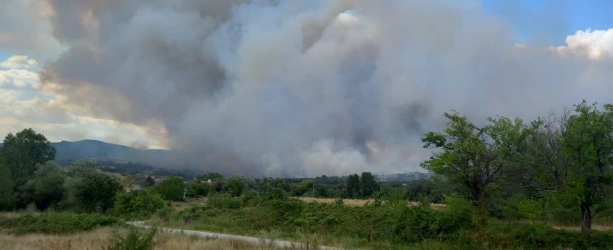Голям пожар гори между Левски и Елшица
