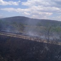Трети ден: Продължава гасенето на огромния горски пожар между панагюрските села Елшица и Левски