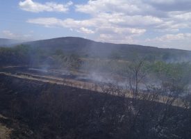 Трети ден: Продължава гасенето на огромния горски пожар между панагюрските села Елшица и Левски