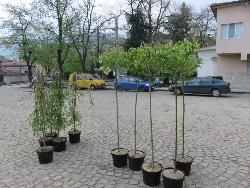 20БИОВЕТ2