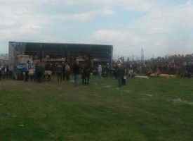 Над 2000 гледаха конски кушии във Варвара