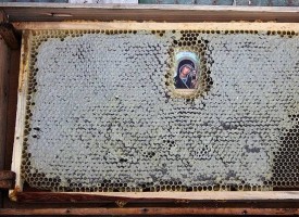 Твоята новина: Чудотворните икони на Атон се почитат и от пчелите