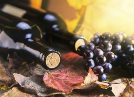 Приемат заявлени за подпомагане на лозаро-винарския сектор
