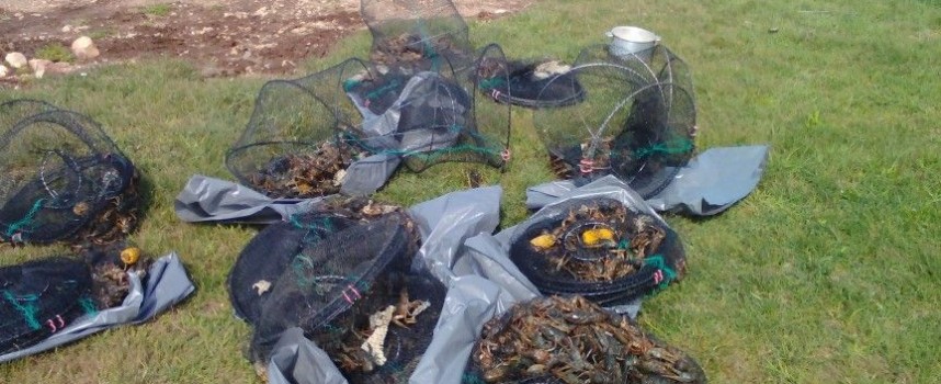 Инспектори спипаха бракониер в залива Македонски борум на яз. Батак