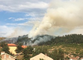 2 дка борова гора изгоря край Брацигово