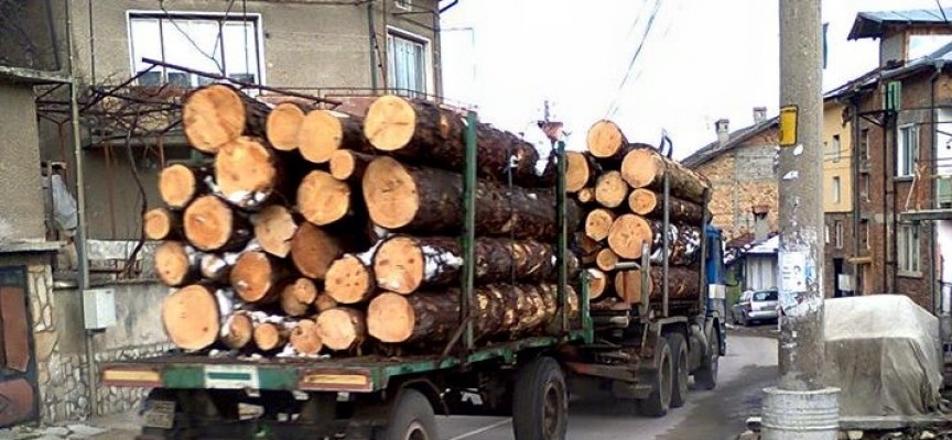 Конфискуваха незаконна дървесина в Кръстава