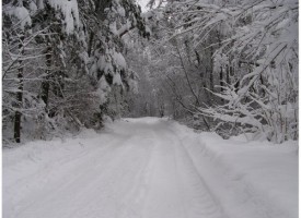 Снегонавявания и силен вятър затапиха пътя Радилово – Капитан Димитриево