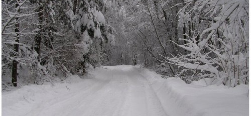 Снегонавявания и силен вятър затапиха пътя Радилово – Капитан Димитриево