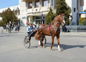 Шествие за Тодоровден се проведе в Пазарджик