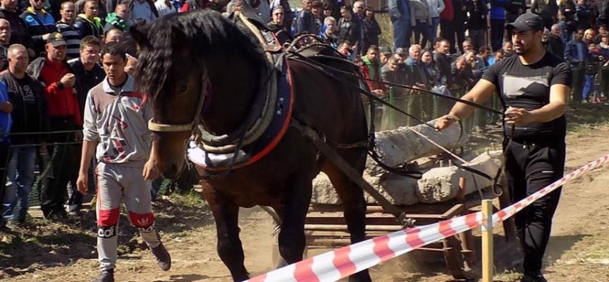Надбягване на впрегнати коне и полети на гълъби бележат празника на ромите