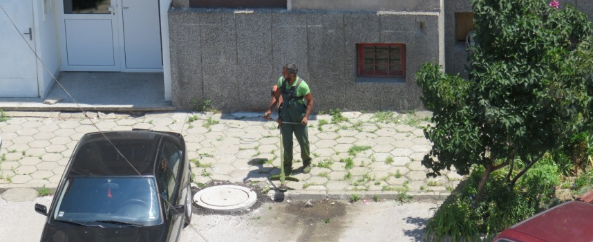 Почистиха тревите по тротоарите и междублоковите пространства на „Янтра“ и „Криволак“