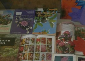 Библиотеката: Книги за градината в отделна витрина