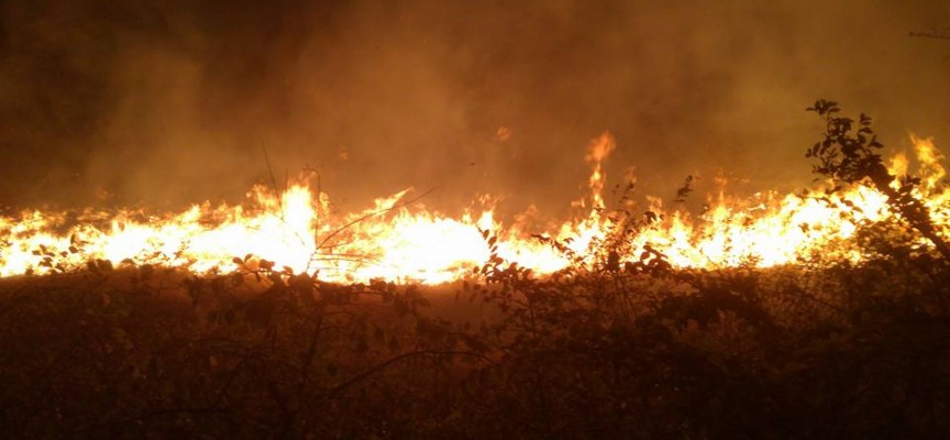 500 дка лозя и сухи треви горяха снощи край Карабунар