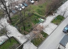 Две дървета паднаха на ул. „Болнична“
