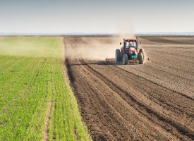 За производителите: Какво трябва да знаете за субсидирането на земеделци и животновъди?
