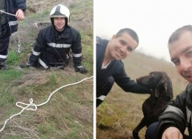 Септемврийските огнеборци спасиха куче, паднало в шахта