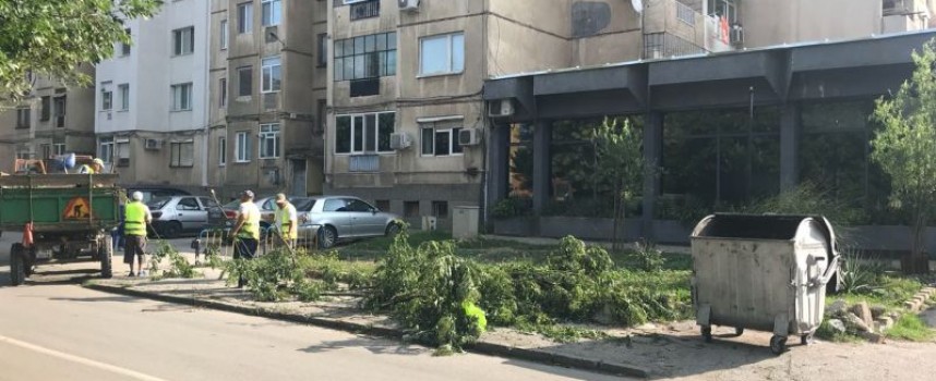 Община Пазарджик стартира августовско почистване, включи се и ти