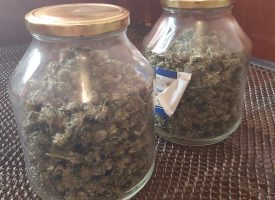 Иззеха 725 грама марихуана от дома на пазарджиклия