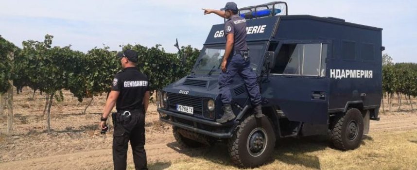 Бошуля: Отличен за полиция и жандармерия, не изчезна нито чепка грозде