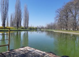 Мирослав Стоянов: Къпането в неохраняеми водоеми крие рискове, ето къде е забранено да търсите прохлада