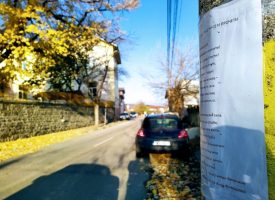 „Поезия и проза на село“  украсиха улиците на Паталеница