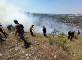 „Гори, гори огънче“: Запалени треви и храсти предизивикаха пожари, гасят ги лесничеи и пожарникари