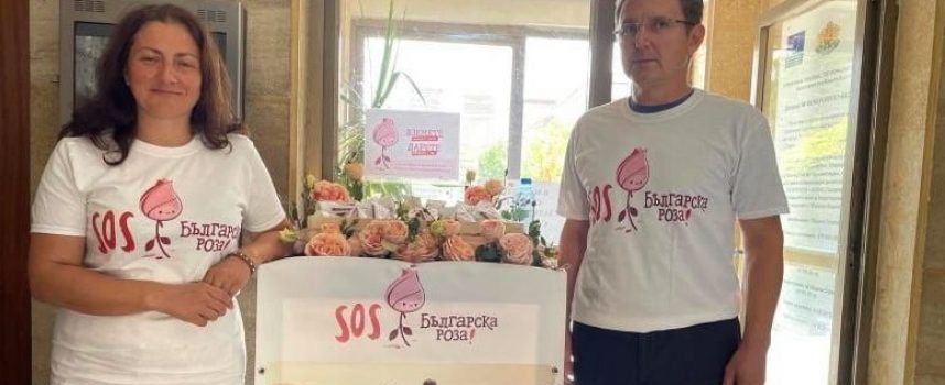 Община Стрелча и Сдружение „Българска розова долина” инициираха кампания за спасение на розопроизводството