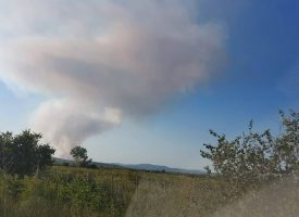 Гори гората между Калугерово и Лесичово, пожарът се разраства