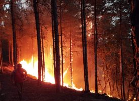 Прокуратурата търси кой е запалил пожара край Левски